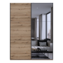 Шкаф купе Doros G-Caiser Дуб Эвок 1 ДСП / 1 зеркало / 3 части 180х60х240 (80737749)