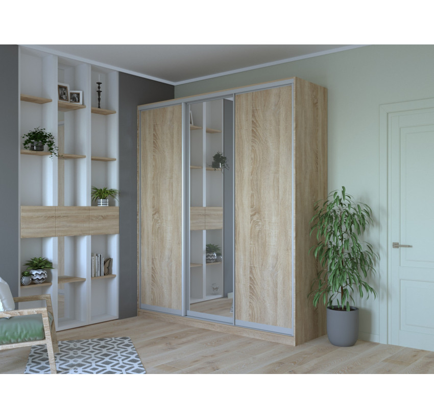 Шкаф купе Doros Сити 24 Дуб Cонома 2 ДСП / 1 Зеркало 208х60х240 (42002076)