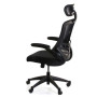 Комп`'ютерне крісло RAGUSA (Black)