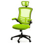 Комп`'ютерне крісло RAGUSA (light green)