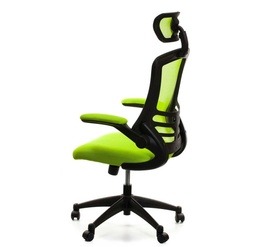Комп`'ютерне крісло RAGUSA (light green)