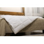 Одеяло Soft Night Aloe Vera