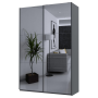 Шафа купе Doros G-Caiser Антрацит 2 Дзеркала / 3 частини 160х60х240 (42005409)