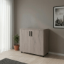 Комод Doros Торн Кремона Канноло 2 из ДСП 90х51,6х80 (41510141)